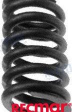 VALVE SPRING