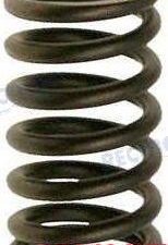 VALVE SPRING