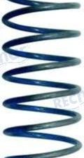VALVE SPRING