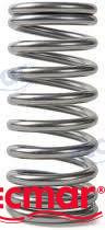 VALVE SPRING
