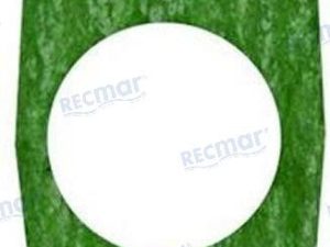 WATER PUMP GASKET